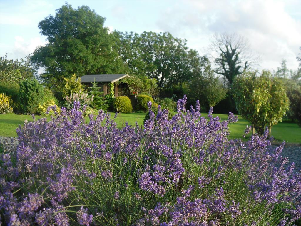 Bed and Breakfast Moor View Ingleton  Zimmer foto